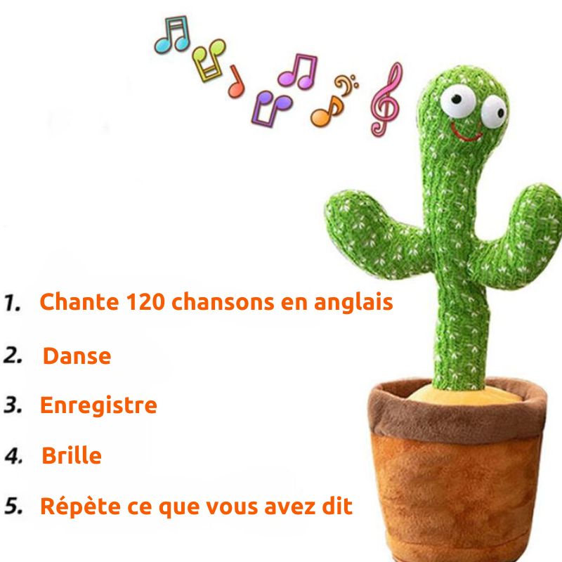 TuniCacti™ - Cactus Dansant